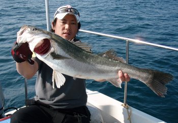 敦賀沖から越前岬に、ジギング!