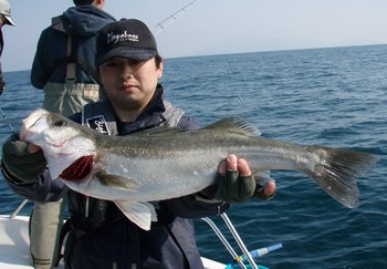 敦賀沖から越前岬に、ジギング!