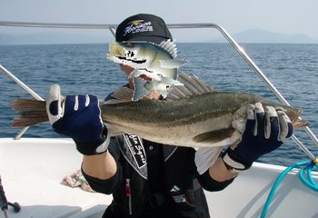 敦賀沖から越前岬に、ジギング!