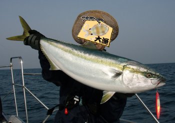 敦賀沖から越前岬に、ジギング!