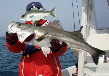 敦賀沖から越前岬に、ジギング!