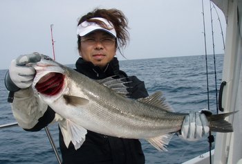 敦賀沖から越前岬に、ジギング!