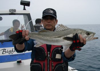 敦賀沖から越前岬に、ジギング!