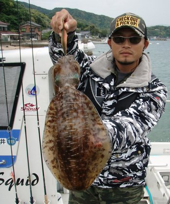 敦賀 Bigfin Squid のアオリイカ!