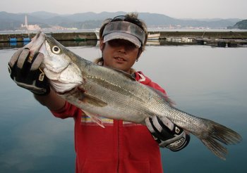 敦賀沖から越前岬に、エギング・ジギング!