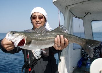敦賀沖から越前岬に、エギング・ジギング!
