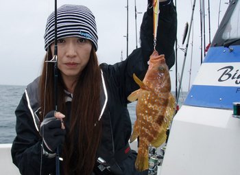 敦賀沖から越前岬に、エギング・ジギング!