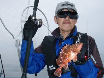 敦賀沖から越前岬に、エギング・ジギング!