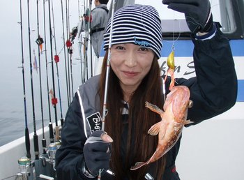 敦賀沖から越前岬に、エギング・ジギング!