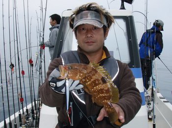 敦賀沖から越前岬に、エギング・ジギング!