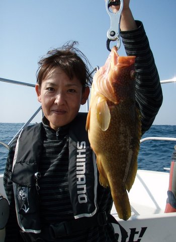 敦賀沖に、エギング・ジギング!