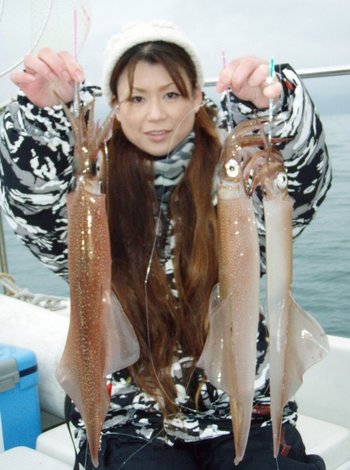 敦賀沖に、ヤリイカ!