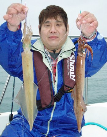 敦賀沖に、ヤリイカ!