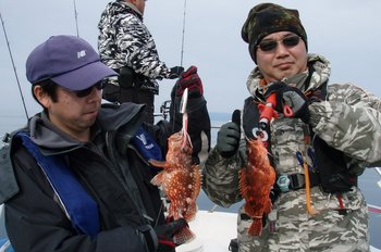 敦賀沖に、ジギング&ヤリイカ!