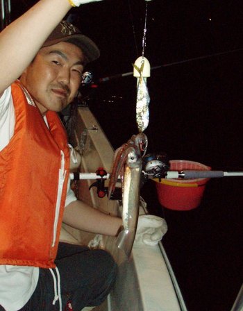 Bigfin Squidのスルメイカ・マイカ