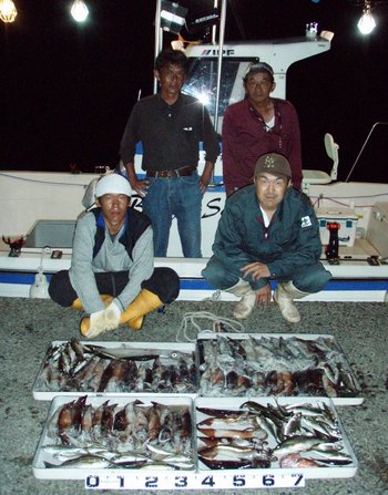 Bigfin Squidのスルメイカ・マイカ