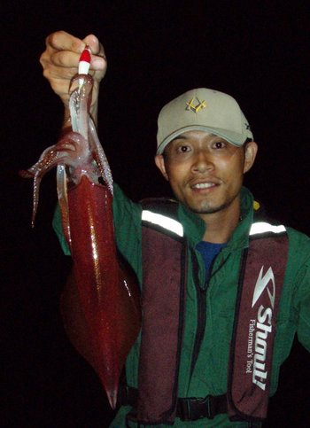 Bigfin Squidのスルメイカ・マイカ