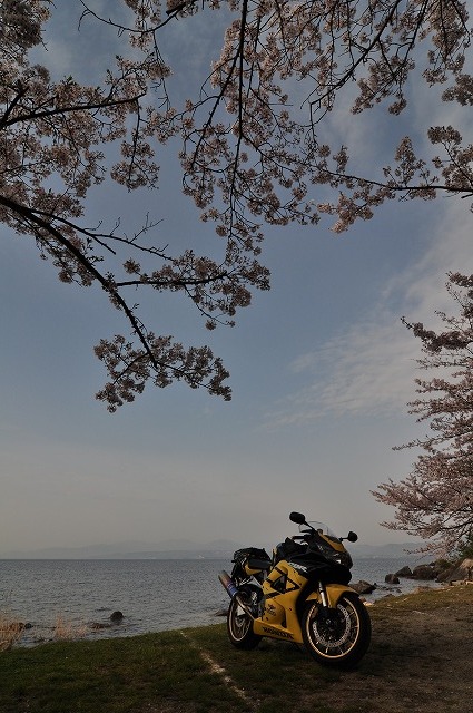 琵琶湖の翌朝