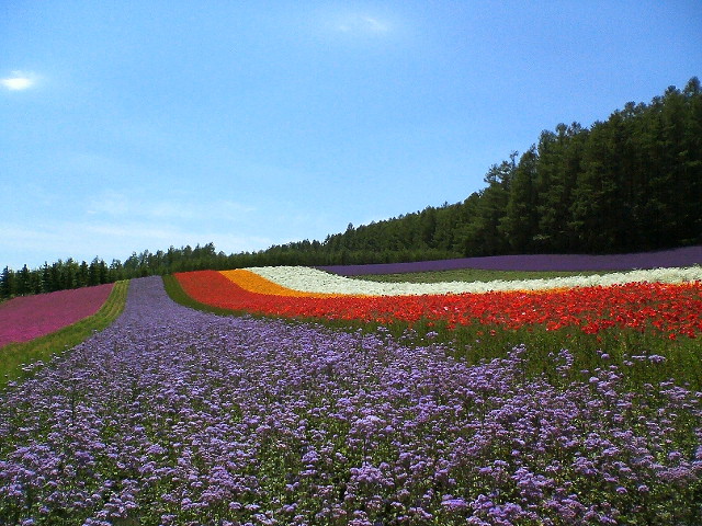 おすすめ北海道