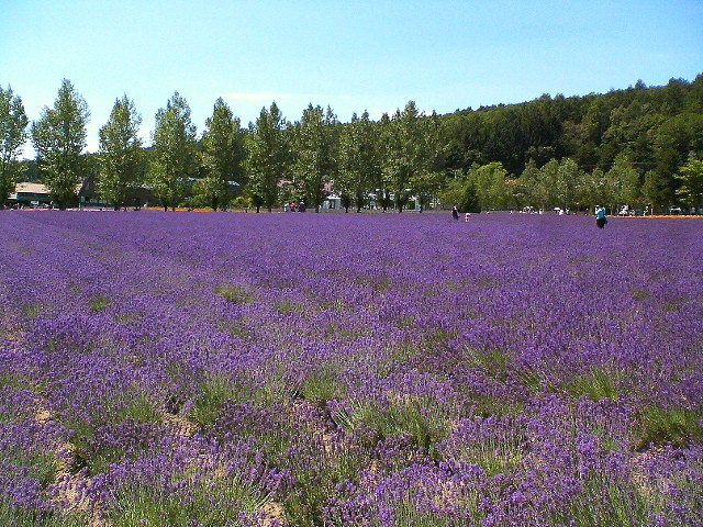 おすすめ北海道