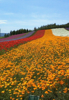 おすすめ北海道