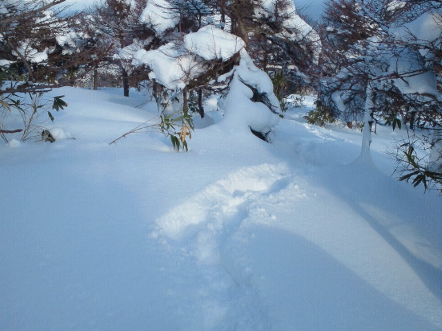 無くした魂を探して
