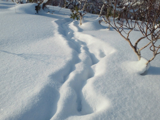 無くした魂を探して