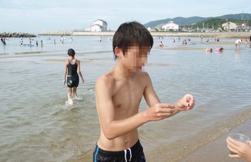 夏キャンプは　多賀の浜海水浴場