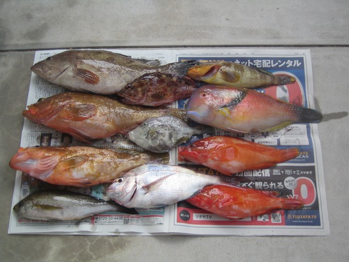 甥と魚釣り