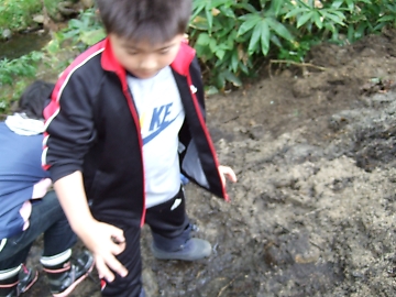 ゆっくりとコニファーを楽しみたい