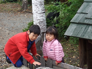 ゆっくりとコニファーを楽しみたい
