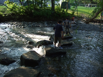 夏の道民の森