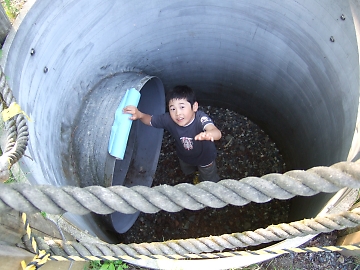 夏の道民の森