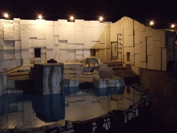 夜の動物園