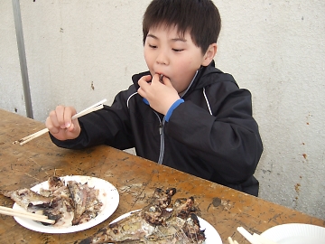 魚祭り