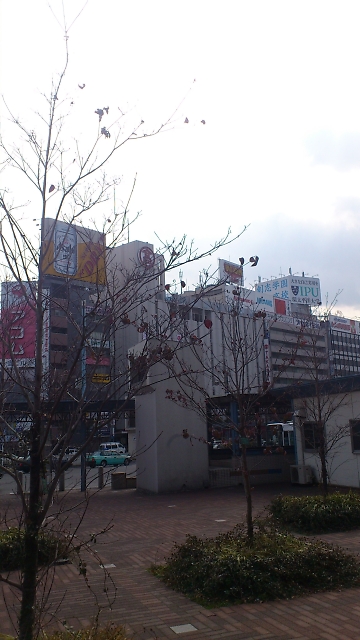 晴れの国
