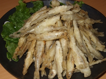 ワカサギ釣り日和だね