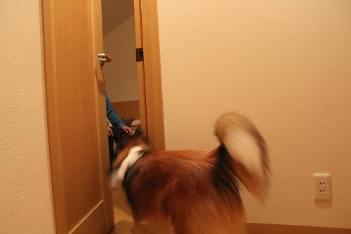 寝不足