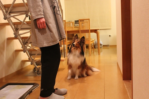 ハッピーバースデー