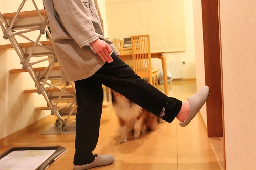 ハッピーバースデー