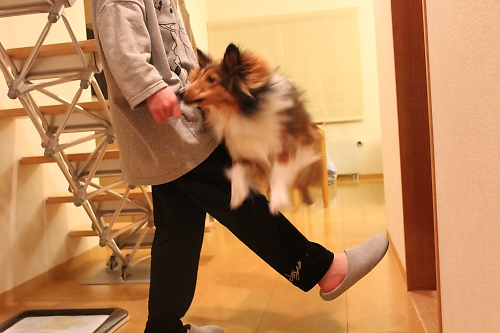 ハッピーバースデー