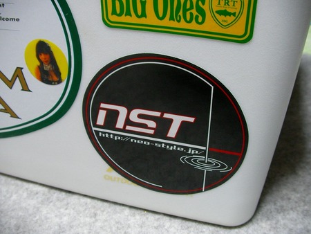 NST1.1gが届いたぞーい!!!