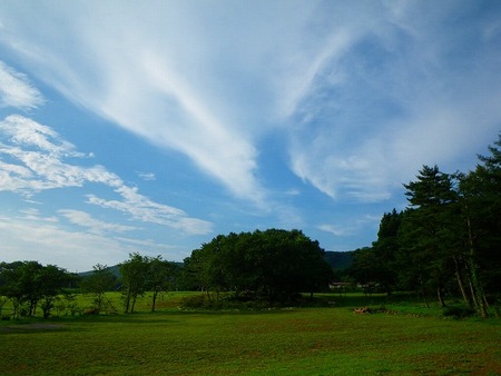 写真を綺麗に効率良く!!!