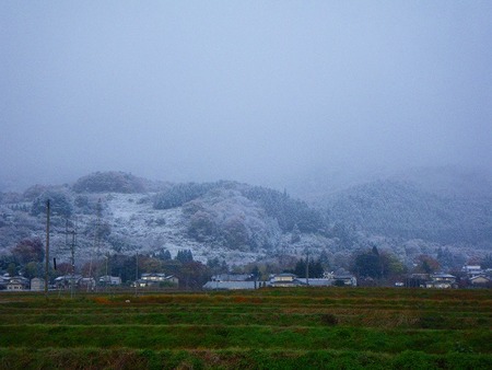 雪が積もった!!!