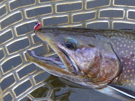 縦釣りの醍醐味は!!!