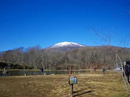 今年最後の運だめし!!!