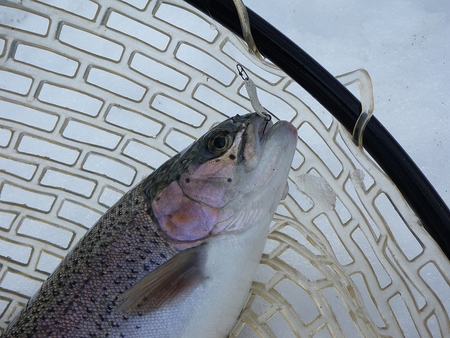 大満喫の釣り納め!!!