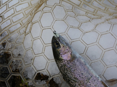 大満喫の釣り納め!!!