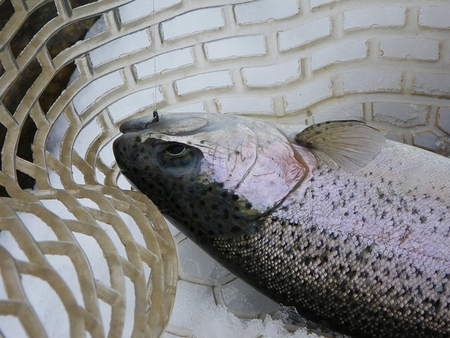 大満喫の釣り納め!!!