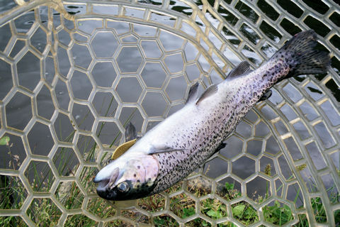 巻きでたくさん釣れた日!!!
